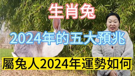 青蛙預兆 兔 2024
